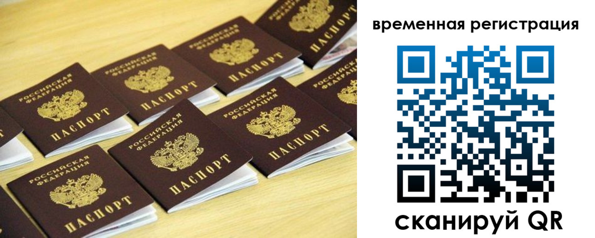 купить прописку в Пионерском